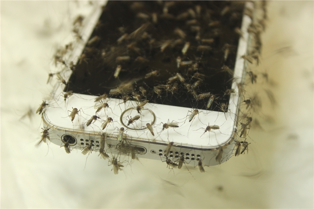 我們的智能手機發出的聲音是否會擊退或吸引蚊子？