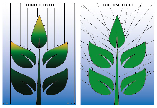 https://www.redusystems.com/public/upload/innovation/Potplnaten_profiteren_van_diffuus_licht-ENG-01.jpg