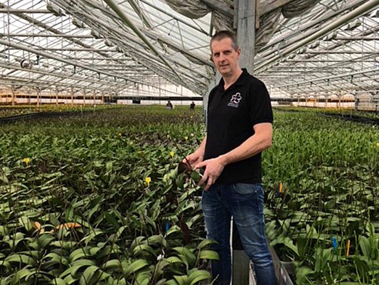 Theo Verbeek, cultivation manager at Dutch orchid growers Ammerlaan OrchideeÃ«n