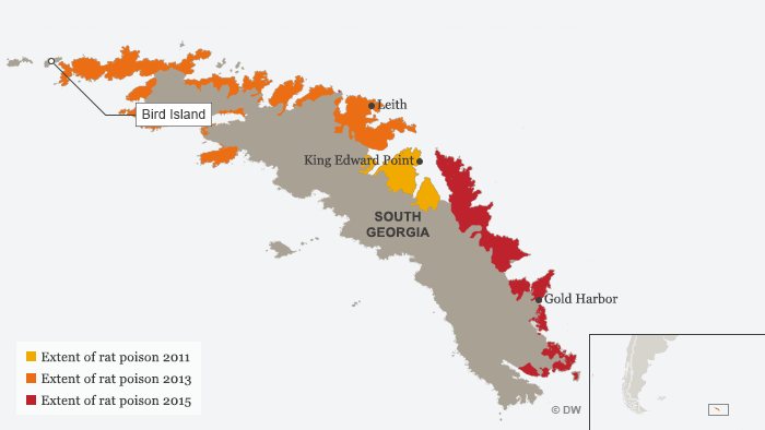 Karte Infografik Rattenplage in SÃ¼dgeorgien ENG