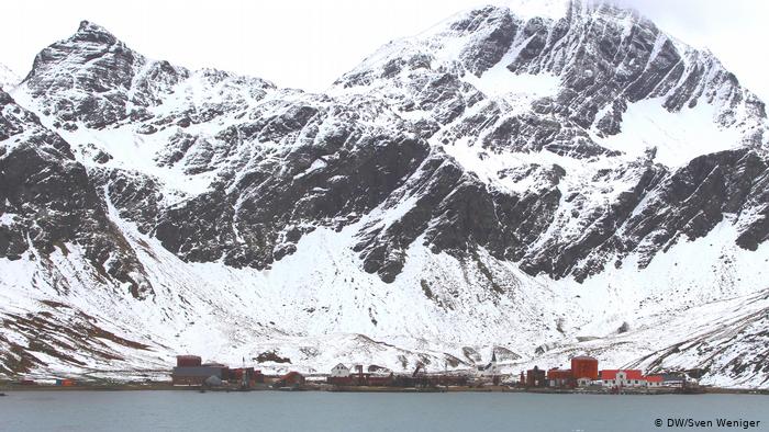 Bildergalerie Rattenplage in SÃ¼dgeorgien (DW/Sven Weniger )