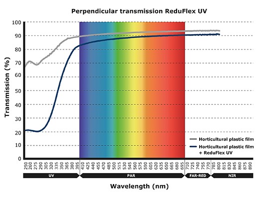 Perpendicluar transmission graph